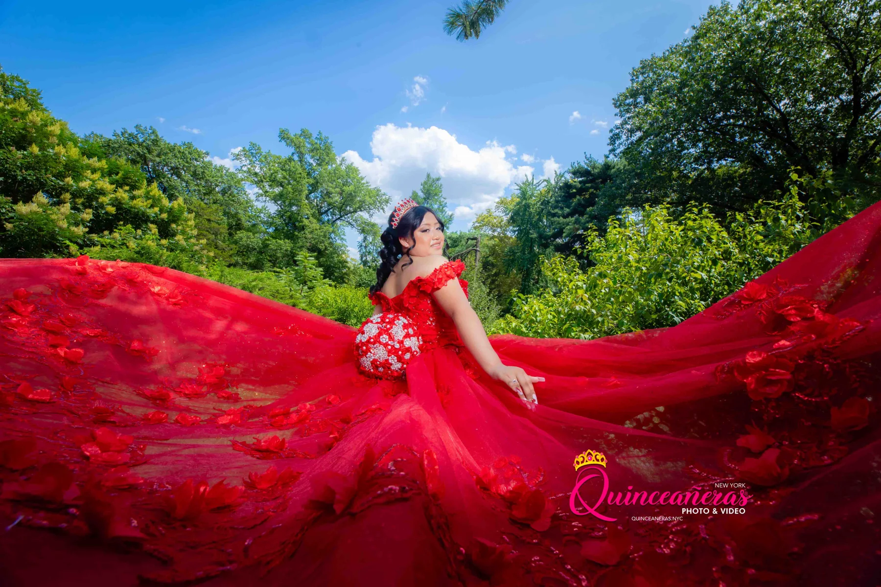 Quinceaneras Dresses New York 12