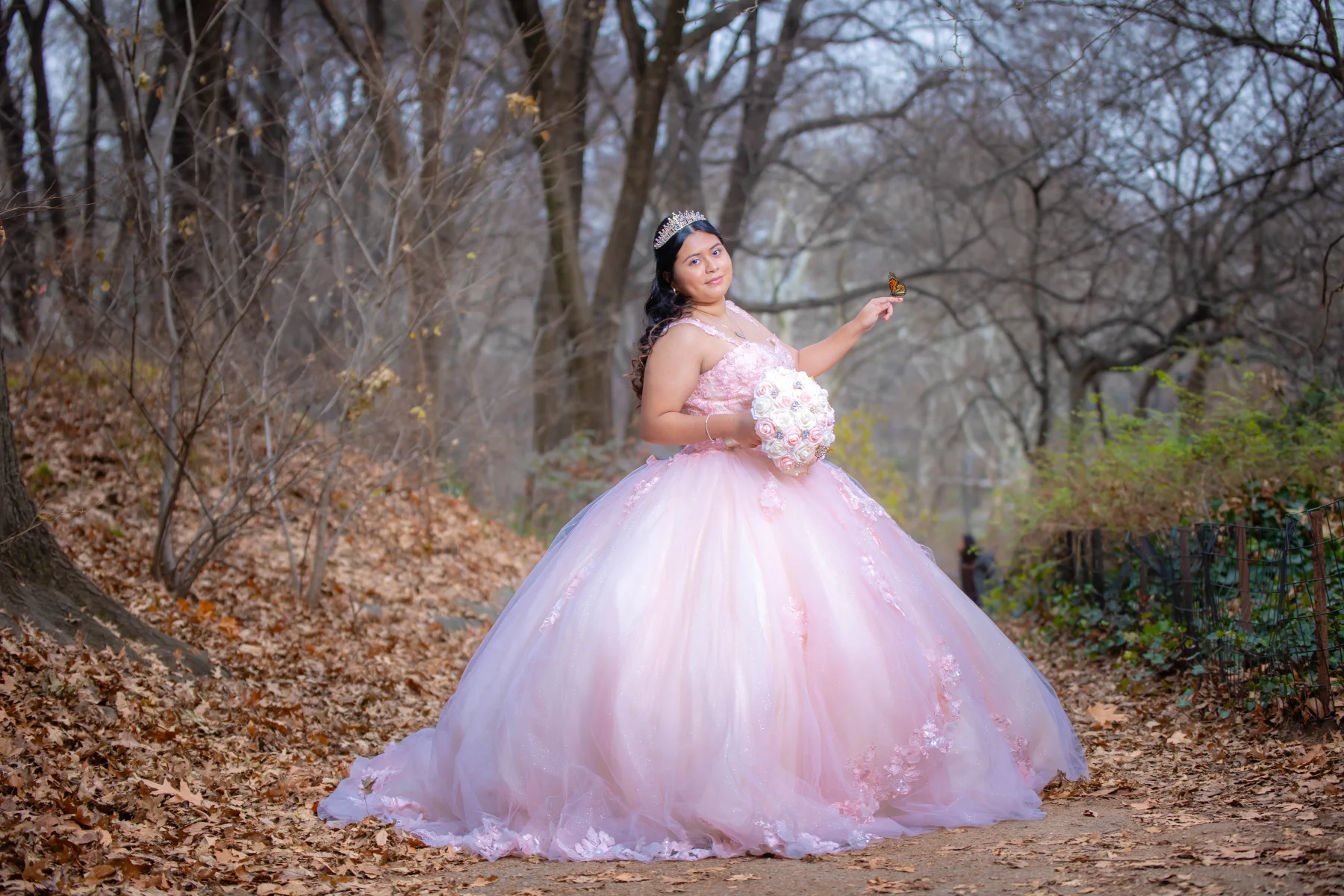 Quinceaneras Dresses New York 1