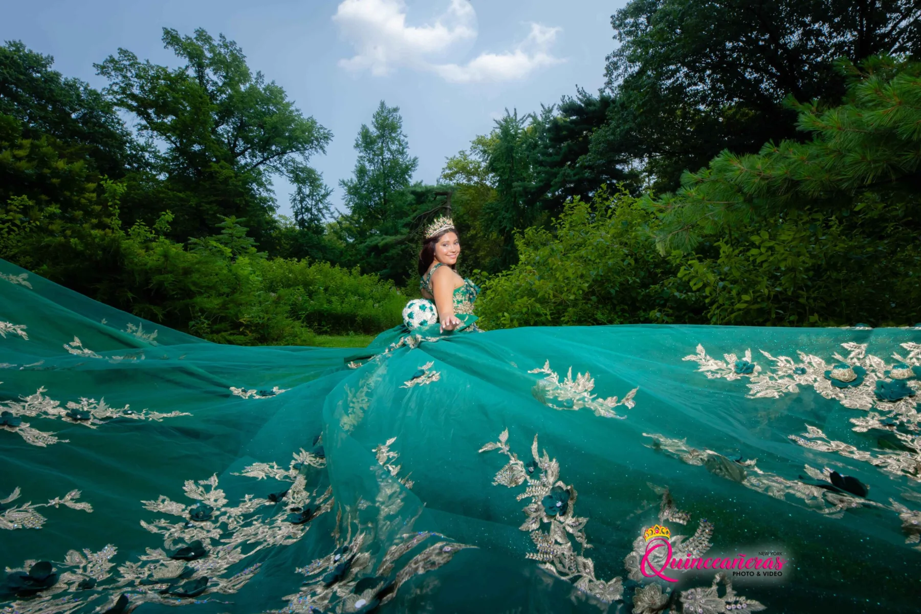 Quinceaneras Dresses New York 5