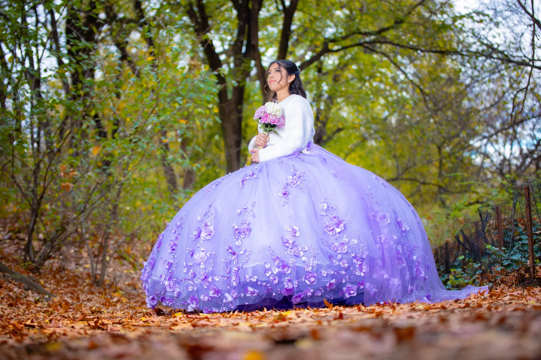 Quinceaneras Dresses New York 1