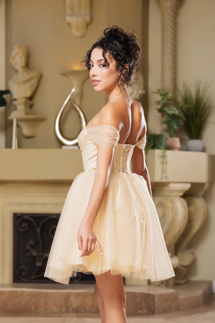 Dress ALICE  Quinceañera  Dama Dresses